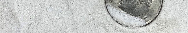 chickendust powder sand on a dime